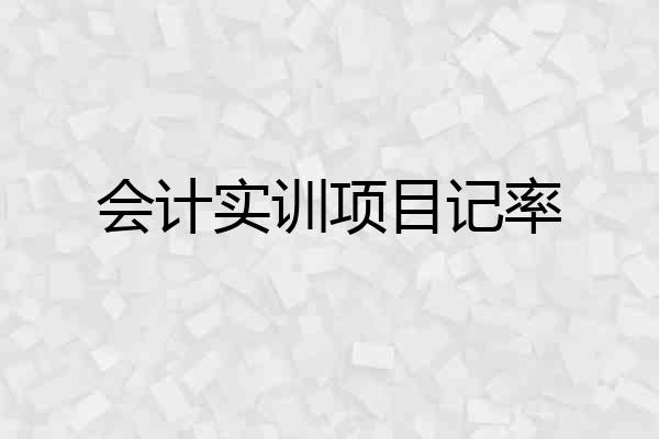 会计实训项目记率