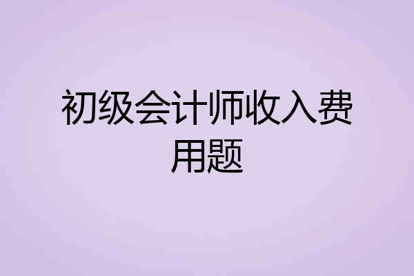 初级会计师收入费用题