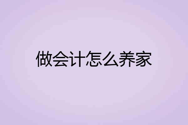 做会计怎么养家