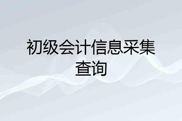 初级会计信息采集查询