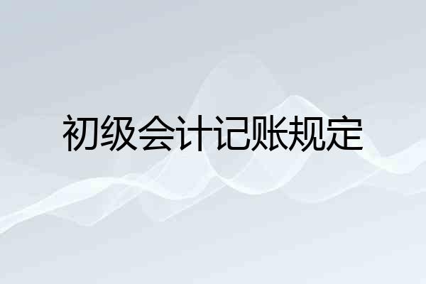 初级会计记账规定