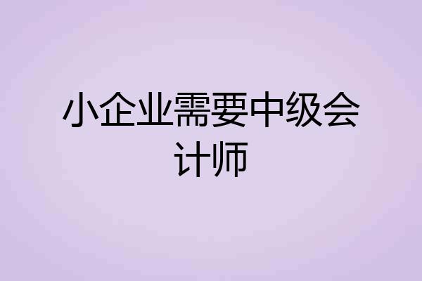 小企业需要中级会计师