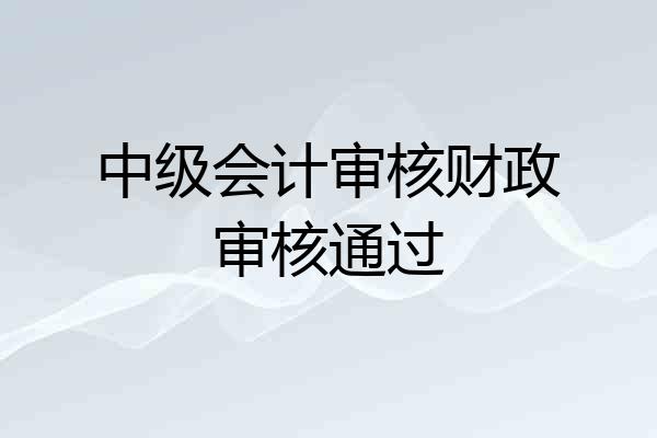 中级会计审核财政审核通过
