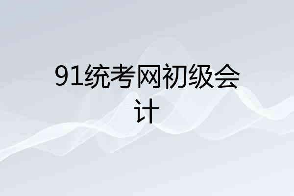 91统考网初级会计