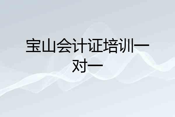 宝山会计证培训一对一