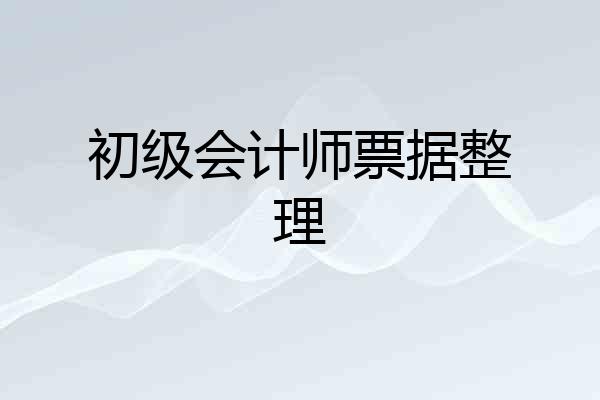 初级会计师票据整理
