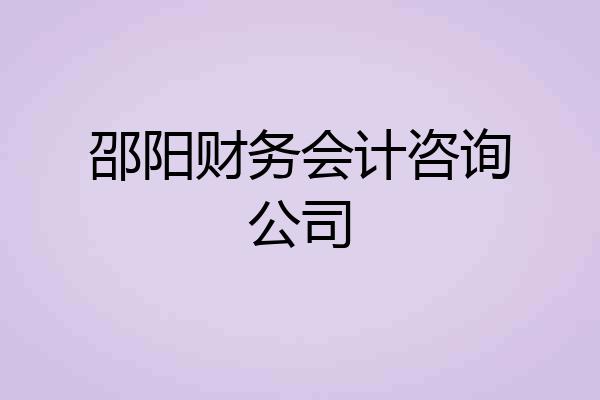 邵阳财务会计咨询公司