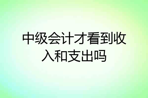 中级会计才看到收入和支出吗