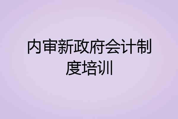 内审新政府会计制度培训