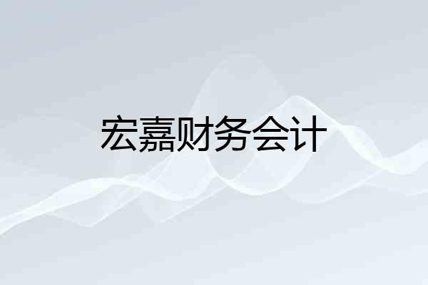 宏嘉财务会计