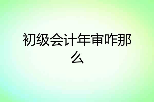 初级会计年审咋那么