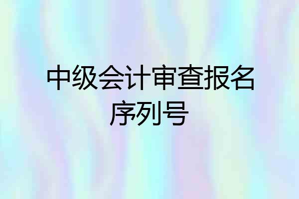 中级会计审查报名序列号