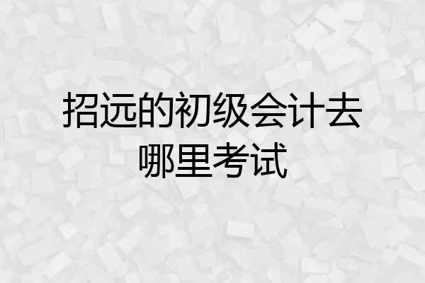 招远的初级会计去哪里考试