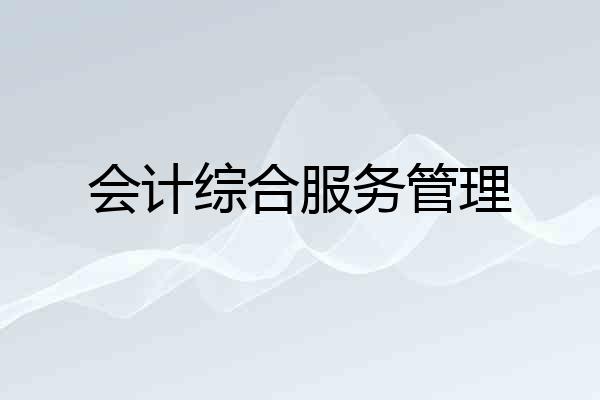 会计综合服务管理