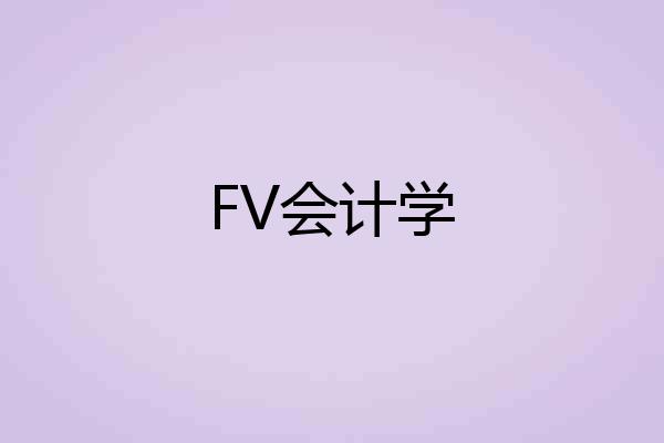 FV会计学
