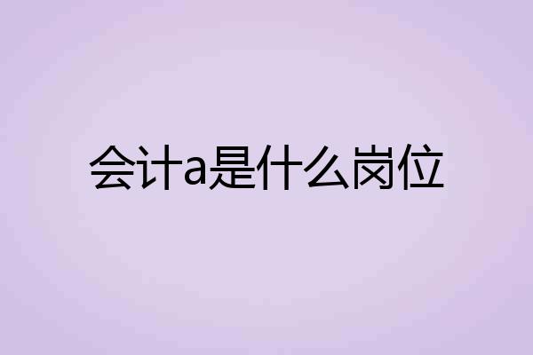会计a是什么岗位