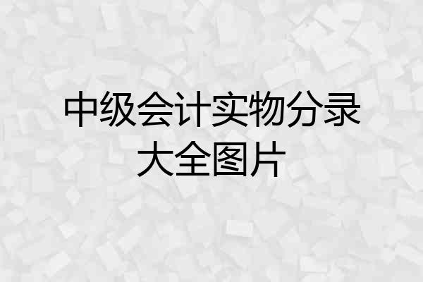 中级会计实物分录大全图片
