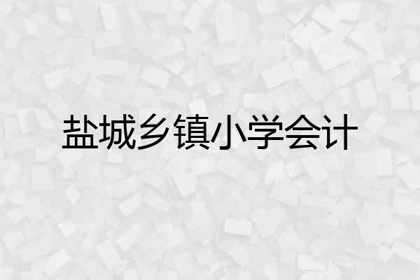盐城乡镇小学会计