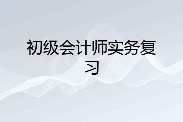初级会计师实务复习