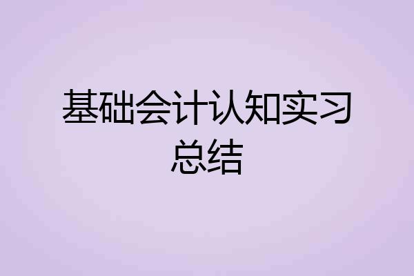 基础会计认知实习总结
