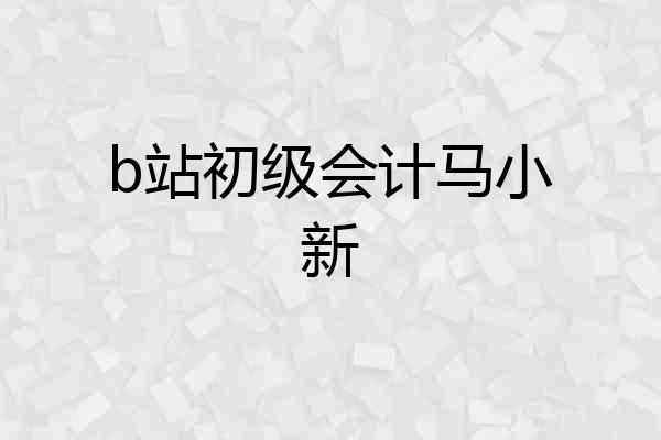 b站初级会计马小新