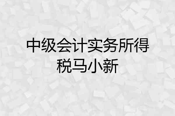 中级会计实务所得税马小新