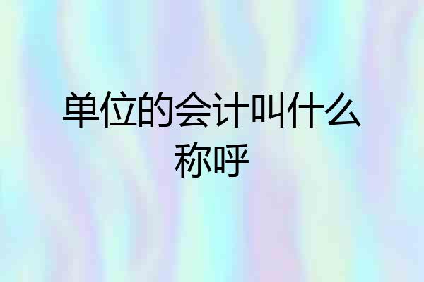单位的会计叫什么称呼