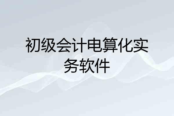 初级会计电算化实务软件