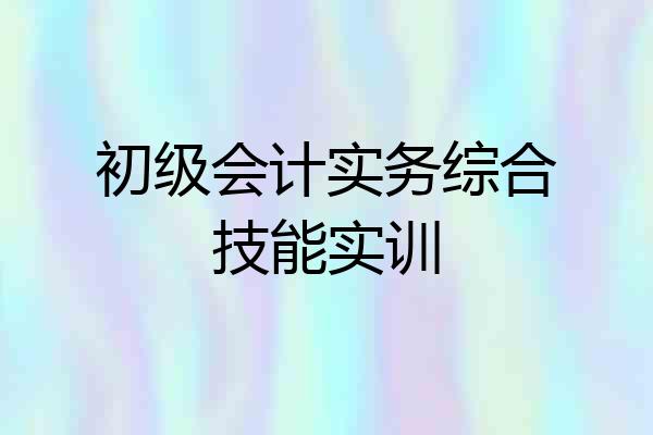 初级会计实务综合技能实训