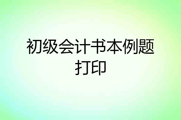 初级会计书本例题打印