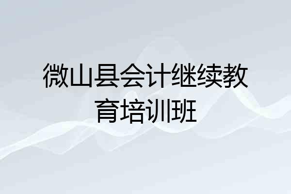 微山县会计继续教育培训班