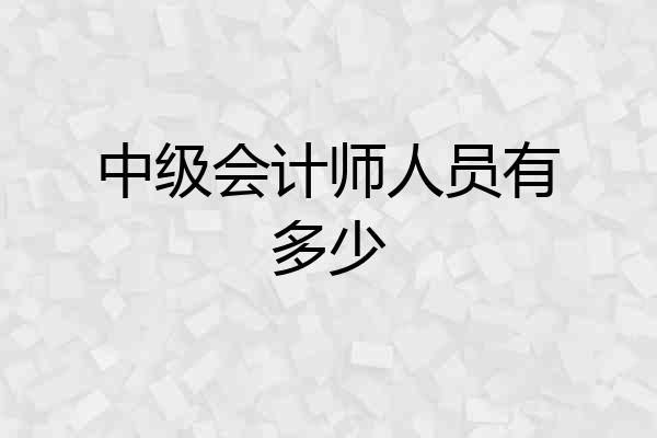 中级会计师人员有多少
