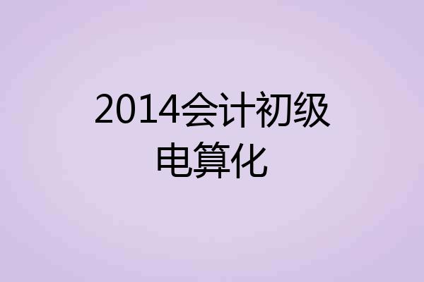 2014会计初级电算化