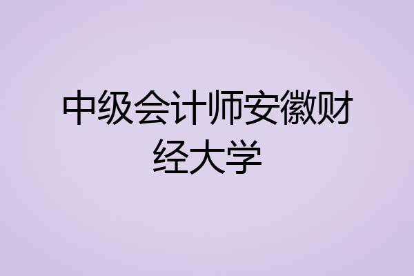 中级会计师安徽财经大学