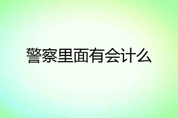 警察里面有会计么