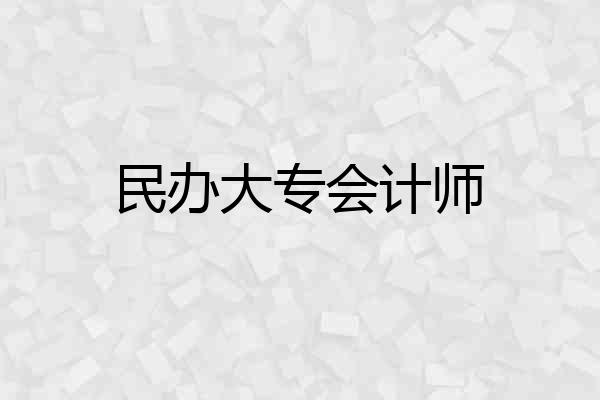 民办大专会计师
