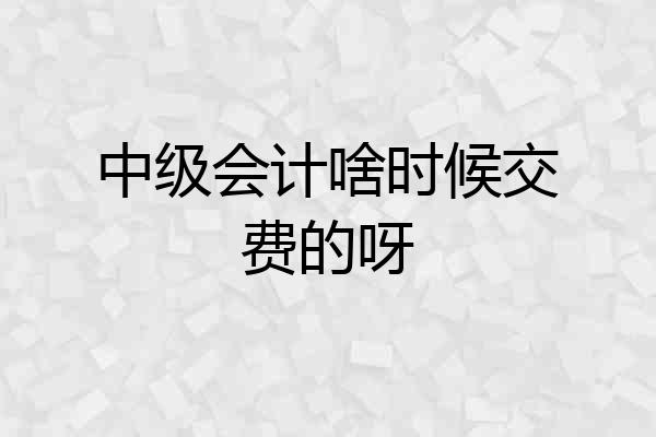 中级会计啥时候交费的呀