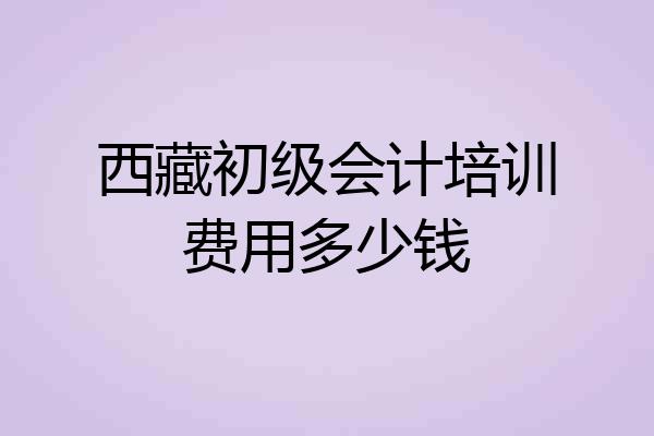 西藏初级会计培训费用多少钱
