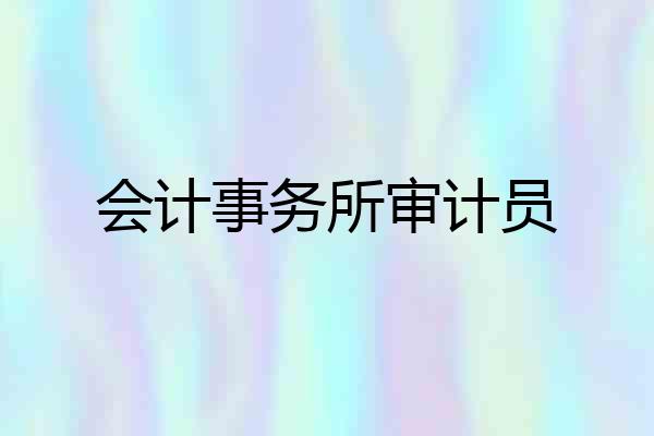 会计事务所审计员