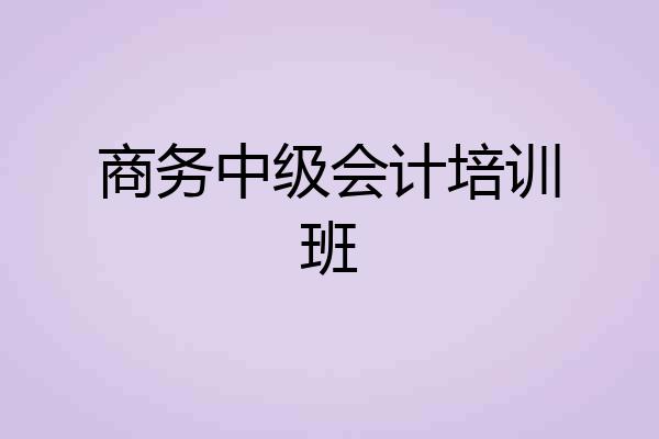 商务中级会计培训班