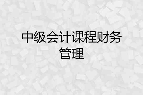 中级会计课程财务管理