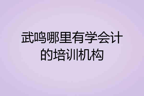 武鸣哪里有学会计的培训机构