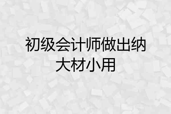 初级会计师做出纳大材小用