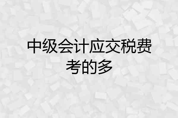 中级会计应交税费考的多