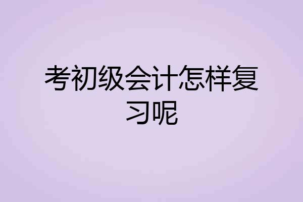 考初级会计怎样复习呢
