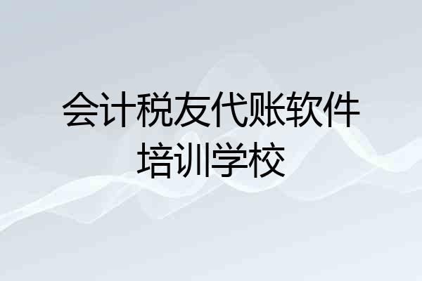 会计税友代账软件培训学校