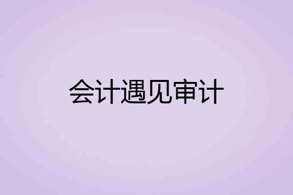 会计遇见审计