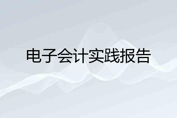 电子会计实践报告