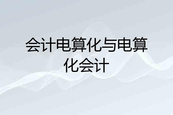 会计电算化与电算化会计