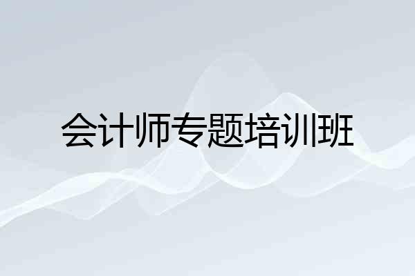 会计师专题培训班